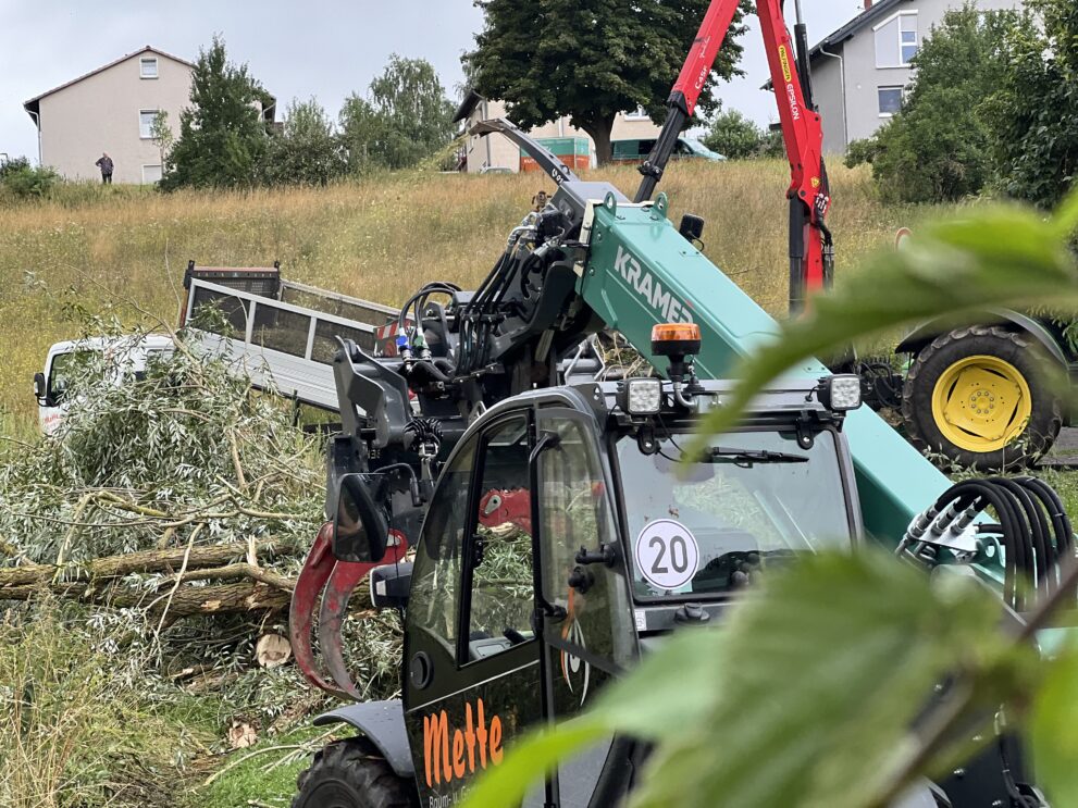 Windbruchbeseitigung